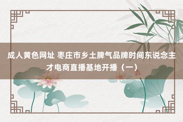 成人黄色网址 枣庄市乡土脾气品牌时间东说念主才电商直播基地开播（一）