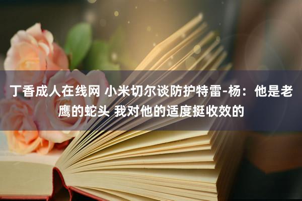 丁香成人在线网 小米切尔谈防护特雷-杨：他是老鹰的蛇头 我对他的适度挺收效的