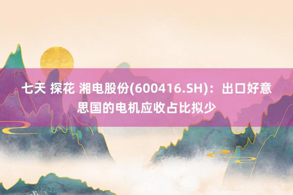 七天 探花 湘电股份(600416.SH)：出口好意思国的电机应收占比拟少