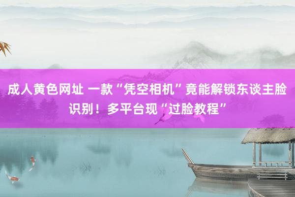 成人黄色网址 一款“凭空相机”竟能解锁东谈主脸识别！多平台现“过脸教程”