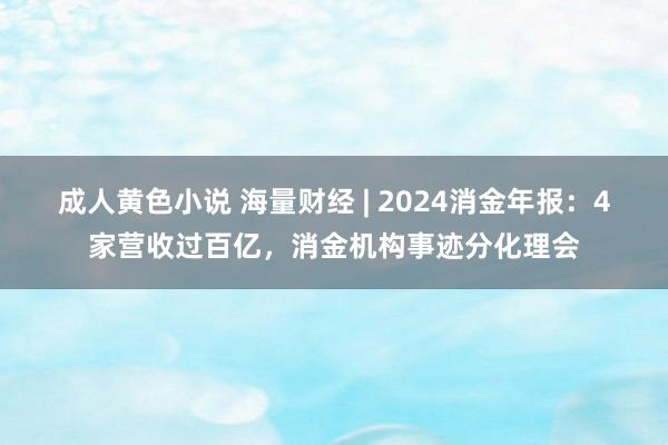 成人黄色小说 海量财经 | 2024消金年报：4家营收过百亿，消金机构事迹分化理会