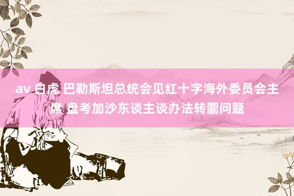 av 白虎 巴勒斯坦总统会见红十字海外委员会主席 盘考加沙东谈主谈办法转圜问题