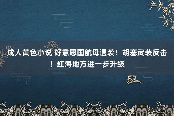成人黄色小说 好意思国航母遇袭！胡塞武装反击！红海地方进一步升级