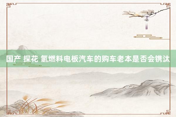 国产 探花 氢燃料电板汽车的购车老本是否会镌汰