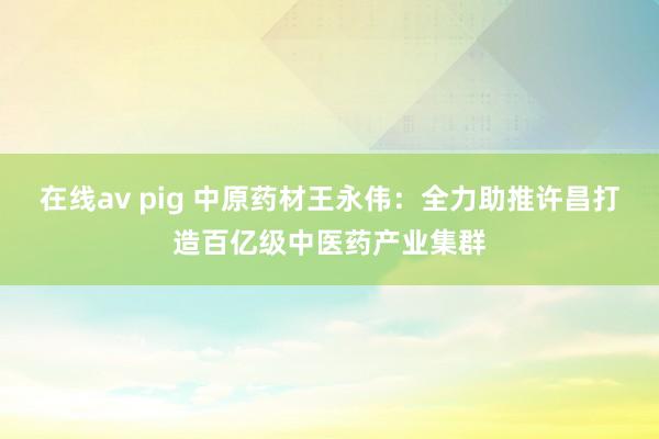 在线av pig 中原药材王永伟：全力助推许昌打造百亿级中医药产业集群