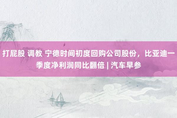 打屁股 调教 宁德时间初度回购公司股份，比亚迪一季度净利润同比翻倍 | 汽车早参