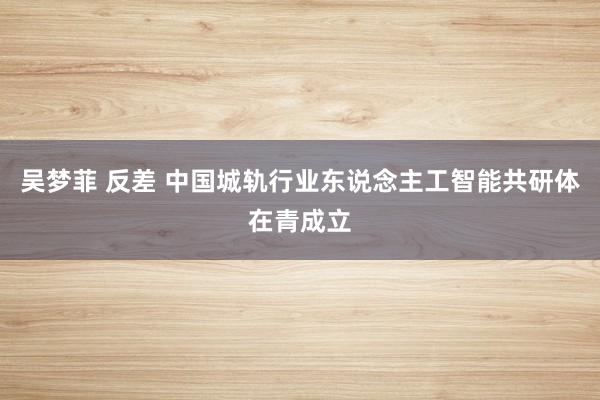 吴梦菲 反差 中国城轨行业东说念主工智能共研体在青成立